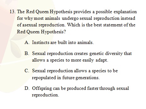 Cset subtest 1 essay questions